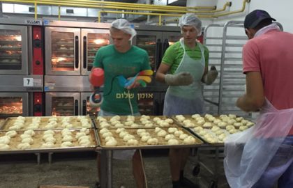 ההכנות במתחם הכנסת האורחים של שיינער