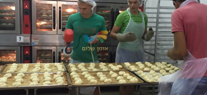 ההכנות במתחם הכנסת האורחים של שיינער